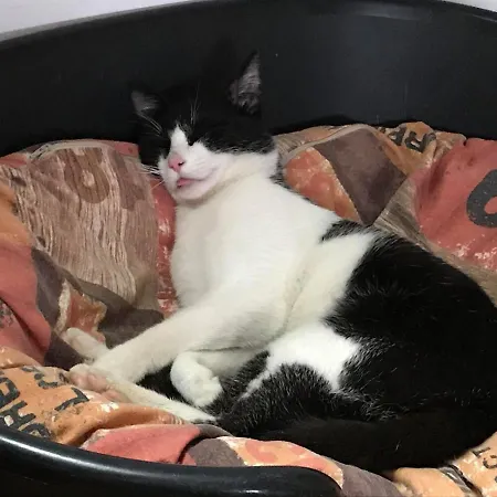 Les Du Raceme Apartamento *