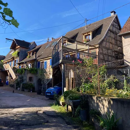 Les Du Raceme * Blienschwiller