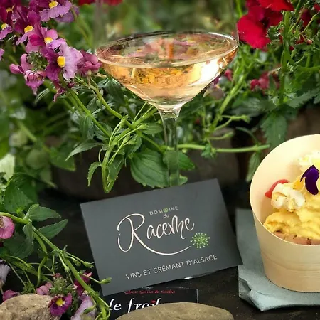 Les Du Raceme Apartamento Blienschwiller