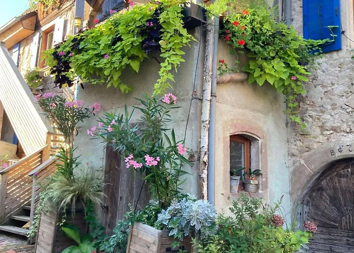 Apartamento Les Du Raceme Blienschwiller